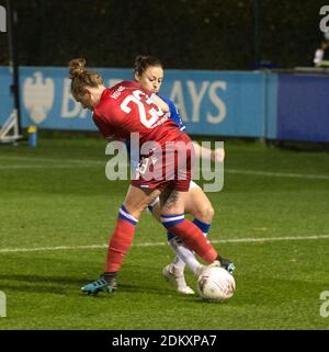 Damen vs Reading Frauen FA WSL Fußballspiel, Walton Hall Park Stadium, Liverpool. 14.11.20 mit: Atmosphäre, Aussicht wo: Liverpool, Großbritannien Wann: 15 Nov 2020 Kredit: WENN.com Stockfoto