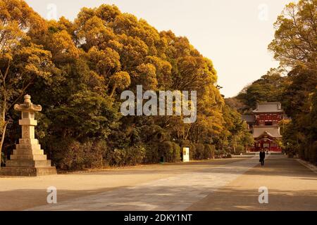 Kamakura, Präfektur Kanagawa, Großraum Tokio, Japan - die traditionelle Architektur des Tsurugaoka Hachimangu Schreines. Stockfoto