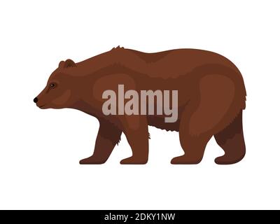 Grizzly Bear Seitenansicht. Isoliert auf weißem Hintergrund. Vektor flache Illustration eines braunen Cartoon Grizzly Bär zu Fuß vorwärts. Stock Vektor