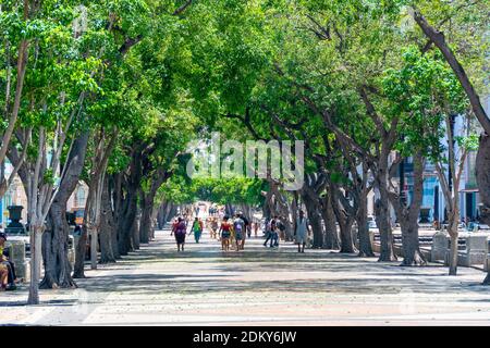 El Paseo del Prado, Havanna, Kuba Stockfoto