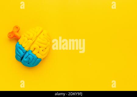 Ideenkonzept. Arbeit des Gehirns - Modell aus buntem Ton, Draufsicht Stockfoto