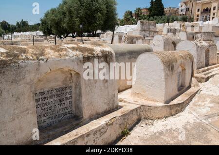 Weiße Gräber auf dem jüdischen Friedhof von Fes, Marokko Stockfoto