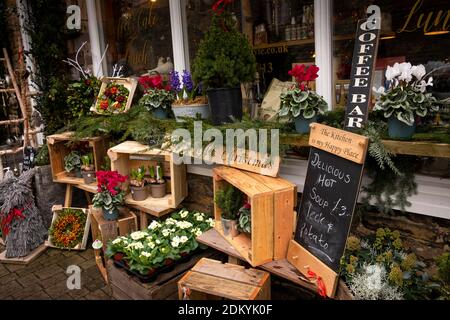 Großbritannien, England, Oxfordshire, Chipping Norton, Cattle Market, Mash-Haus und Speisekammer Shop & Cafe Außenansicht Weihnachten Display Stockfoto