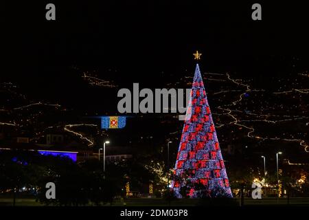 Farbenfroher Weihnachtsbaum im Zentrum von Funchal City, Madeira Island, Portugal. Stockfoto