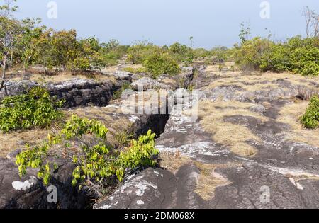 Gesprungenes Steinfeld aus der Erosion der Verwitterung zwischen dem Naturpfad im Thai Nationalpark. Stockfoto