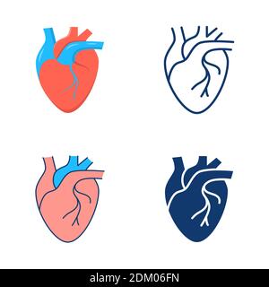 Human Heart Icon im flachen und linienartigen Stil. Symbol für das innere Organ. Vektorgrafik. Stock Vektor