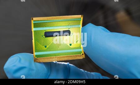 Nahaufnahme der Flex-Leiterplatte in menschlichen Fingern Detail auf dunklem Hintergrund. Hand in blauem Handschuh, der die flexible Platine aus grünem Kunststoff für LCD-Geräte hält. Technik. Stockfoto