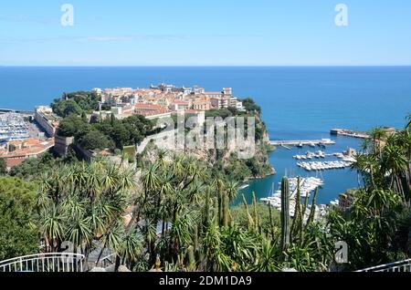 Blick auf den Felsen von Monte Carlo & Succulents Or Kakteen des exotischen Gartens oder Jardin Exotique de Monaco Stockfoto