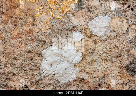 Strukturierter Stein, Sandstein, Kalksteinoberfläche. Bild schließen. Stein, natürliche abstrakte Textur für Hintergründe. Nahaufnahme. Architektur. Stockfoto