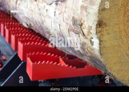 Sägewerk. Sägewerk auf Holzherstellung. Modernes Sägewerk. Industrie Sägen von Brettern aus Rundholz Stockfoto