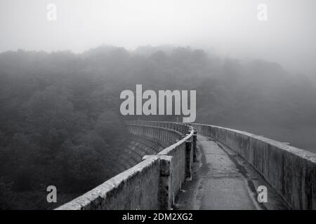 Eine Graustufenaufnahme einer Brücke, die zu einem Nebel führt Wald Stockfoto