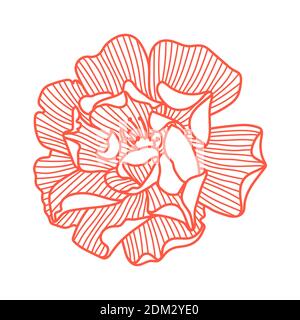 Illustration der zarten Rose. Stock Vektor