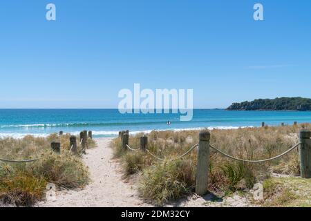 Poller und Seile Linie Sandweg durch Strandvegetation und Dünen zum Hauptstrand Mount Maunganui Stockfoto