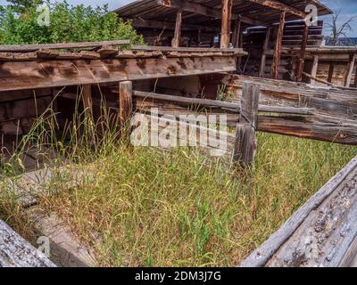 Pig Pen und Chicken Coop, Swett Ranch National Historic Site, Flaming Gorge National Recreation Area in der Nähe von Dutch John, Utah. Stockfoto