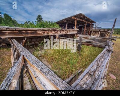 Pig Pen und Chicken Coop, Swett Ranch National Historic Site, Flaming Gorge National Recreation Area in der Nähe von Dutch John, Utah. Stockfoto