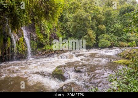 anden, anden, Kaskade, Klippe, Nebelwald, cotopaxi, ecuador, Wald, frisch, Schlucht, grün, Grün, feucht, Dschungel, üppig, Moos, Berg, natürlich, na Stockfoto