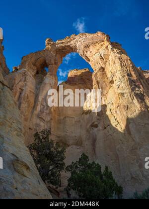 Grosvenor Arch, Cottonwood Wash Road 400, Grand Staircase-Escalante National Monument südlich von Cannonville, Utah. Stockfoto