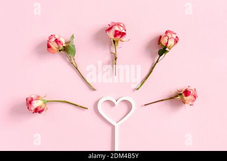 Valentinstag Komposition mit Zauberstab und Rosen auf einem Hintergrund in rosa Pastelltönen Stockfoto