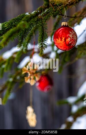 Christbaumschmuck Outdoor am Tannenzweig. Weihnachtsbaumschmuck im Wald. rote Christbaumkugeln und Strohstern, Corona Weihnachtszeit Österreich Stockfoto