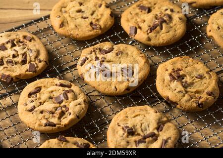 Warme hausgemachte Chocolate Chip Cookies auf einem Kühlregal Stockfoto