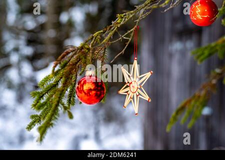 Christbaumschmuck Outdoor am Tannenzweig. Weihnachtsbaumschmuck im Wald. rote Christbaumkugeln und Strohstern, Corona Weihnachtszeit Österreich Stockfoto