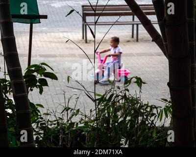 MEDELLIN, KOLUMBIEN - 03. Dezember 2020: Medellin, Antioquia, Kolumbien - 2. Dezember 2020: Kleines Mädchen aus dem Fokus spielt auf ihrem rosa Plastikdreirad Behi Stockfoto