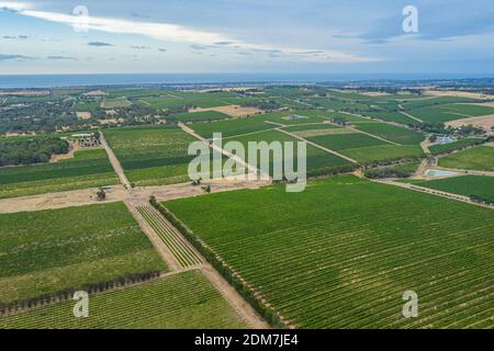 Luftaufnahme der Weinberge im McLaren Vale in Australien Stockfoto