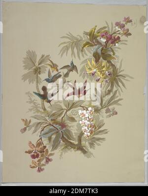 Design für Tapeten und Textilien: Blumen und Vögel, Pinsel und Gouache auf cremefarbenem Papier, Gabelzweig in der Seitenmitte mit Laub und verschiedenen Orchideen und tropischen Blumen, die daraus wachsen. Zwischen den beiden Zweigen der Gabel fliegen sechs Vögel: Drei braun und grün, ein gelb, ein grau, und ein rot und gelb., Frankreich, 19. Jahrhundert, Tapetenentwürfe, Zeichnung Stockfoto