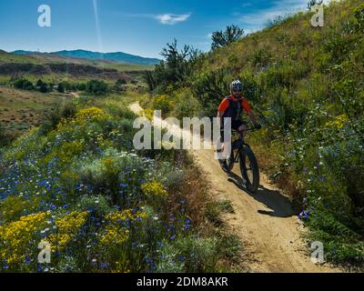 Ein Single Mountain Biker Reiten inmitten der Wildblumen in den Boise Ausläufern an einem schönen Frühlingstag. Stockfoto