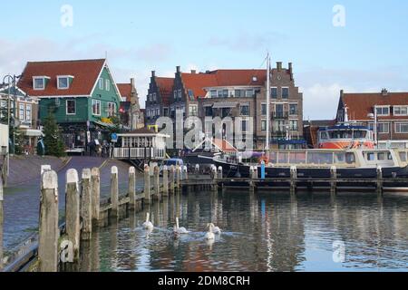 VOLENDAM, NIEDERLANDE - 11. DEZ 2018 - Schwäne schwimmen in der Marina und am Wasser von Volendam, Niederlande Stockfoto