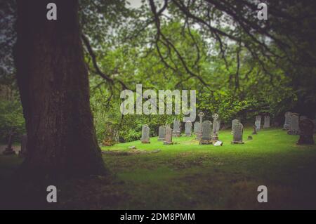 Tilt shift effect of tombs behind a giant oak tree near Rob Roy's tomb, Balquhidder, Scotland. Concept: famous and typical landscapes of Scotland, mys Stock Photo