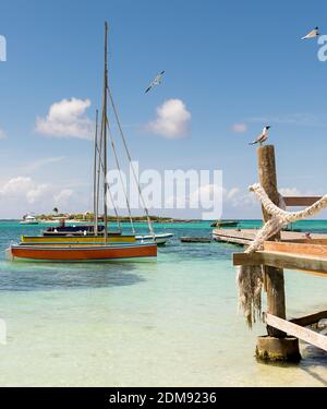 Segelboote liegen an einem kleinen Pier am Strand von Island Harbour Mit Möwen Stockfoto