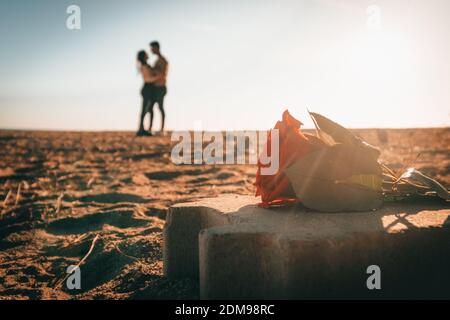 Nahaufnahme EINER roten Rose und der Silhouette EINER Ein Paar, Das Verliebt Ist Stockfoto