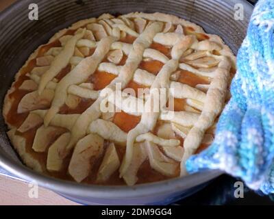 Frisch gebackene Mürbeteig mit Apfelkeilen und Marmelade und EINEM Rastermuster, nach Oma S Backrezept Stockfoto