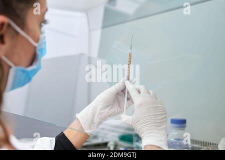 Junge Wissenschaftlerin trägt Gesichtsmaske mit einem Coronavirus-Impfstoff in einer Spritze und Nadel in einer laminaren Strömungshaube. Covid-19 Impfstoffentwicklung. Stockfoto