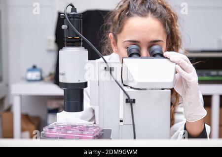 Junge Wissenschaftlerin, die in einem Labor durch ein Mikroskop schaut. Laborforschungskonzept. Stockfoto