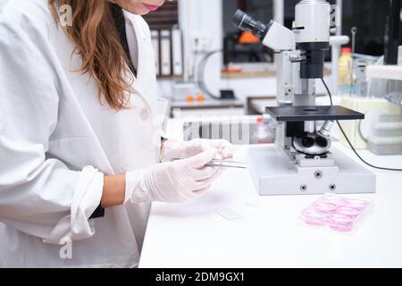 Nicht erkennbare junge Wissenschaftlerin bereitet Proben vor, um sie in einem Labor durch ein Mikroskop zu betrachten. Laborforschungskonzept. Stockfoto