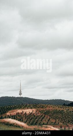 Eine gut gerahmte Aufnahme der wunderschönen, bedeckten Landschaft Canberras mit Blick auf den Telstra Tower auf dem Black Mountain. Stockfoto