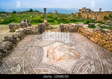 Mosaikboden in der alten römischen Stadt Volubilis in der Nähe von Moulay Idriss und Meknes Stockfoto