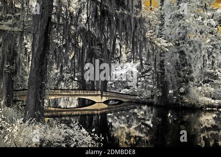 Infrarotfoto einer kleinen Brücke, die von üppiger Vegetation umgeben ist. Stockfoto