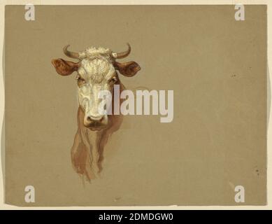 Two Studies of Cattle, Samuel Colman, American, 1832–1920, Pinsel und Aquarell, weiße Gouache, Graphit auf braunem Papier, horizontales Rechteck. Vorderseite: Links Kopf und Hals einer stehenden Kuh oder eines Rindes. Der Kopf wird frontal angezeigt. Rückseite: Oben links: Eine hockende Kuh, Kopf umgedreht., USA, 1876, Tiere, Zeichnung Stockfoto