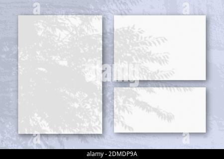Mehrere horizontale und vertikale Blätter aus weißem strukturiertem Papier vor einem blauen Wandhintergrund. Mockup mit einer Überlagerung von Pflanzenschatten. Tageslicht Stockfoto