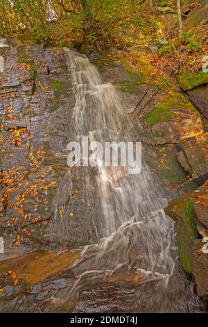 Ruhige Juney Whank Falls im frühen Herbst in der Great Smoky Mountains in North Carolina Stockfoto