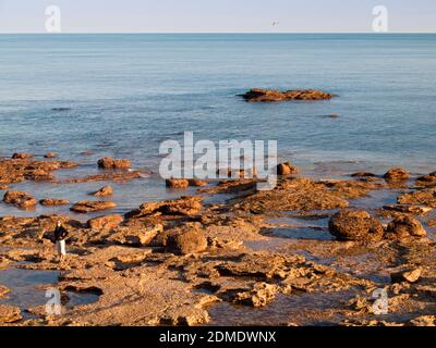 Touristen auf der Suche nach Fossilien und Dinosaurierfußabdrücken auf einer Felsplattform bei Ebbe, Gantheaume Point, Broome, Western Australia. Stockfoto