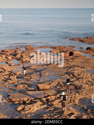 Touristen auf der Suche nach Fossilien und Dinosaurierfußabdrücken auf einer Felsplattform bei Ebbe, Gantheaume Point, Broome, Western Australia. Stockfoto