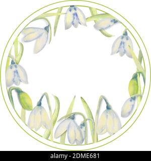 Romantic spring frame with snowdrops on the outside edge on a white isolated background. Watercolor painting. Stock Vector