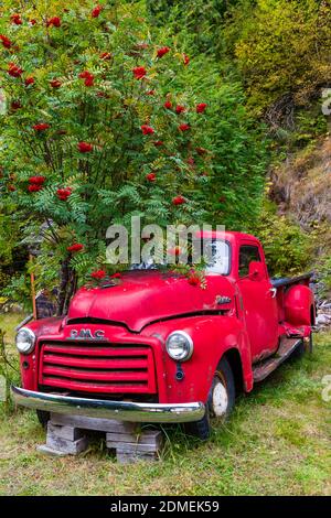 04. Oktober 2020 - Sandon, British Columbia, Kanada: Ein alter verlassene GMC Pick-up Truck in der Geisterstadt Sandon, British Columbia, Kanada. Sandon Stockfoto