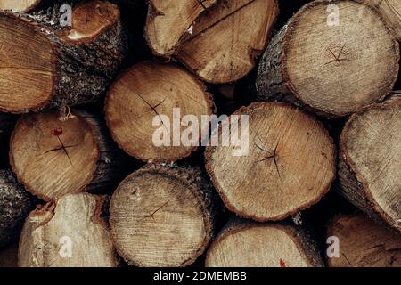 Stapel von Holzbrettern im Sägewerk, Beplankung. Stockfoto