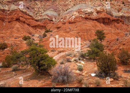 Erodierte Felsen, Capitol Reef National Park, Utah Stockfoto