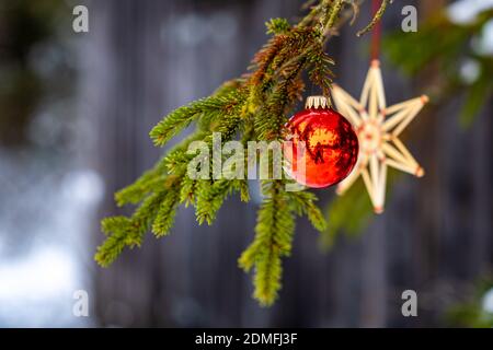 Christbaumschmuck Outdoor am Tannenzweig. Weihnachtsbaumschmuck im Wald. rote Christbaumkugeln und Strohstern, Corona Weihnachtszeit Österreich Stockfoto